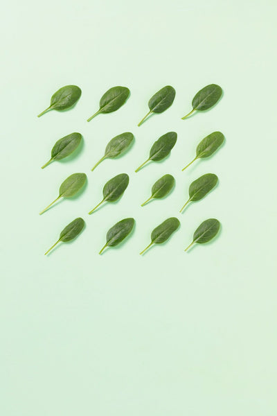 Petit potage de colin aux épinards